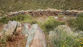 Screenshot_20210506-222148_Gallery.webp