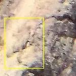 MT eagle carving.webp
