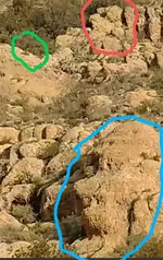 Screenshot_20210610-143223.webp