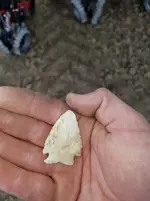 Arrowhead.webp