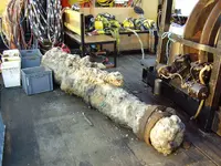 Copy of Picture 243.webp