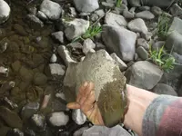 kJBTtbv.webp