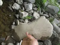 AbTjfDG.webp