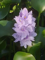 20210429_175953.webp