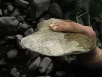 YwX0nkC.webp