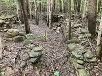 83945763-CC57-458A-A256-75118F350562.webp