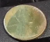 DSCF2401.webp