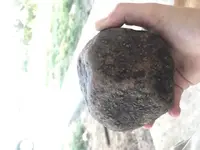 IMG_4017.webp IMG_4017.webp