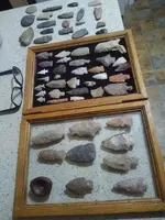 IMG_20210611_050429363.webp
