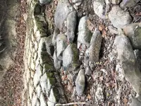 rocks.webp