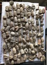 fired bullets 1.webp