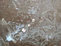 5 coins.webp