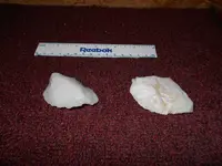 DSCN0005.webp