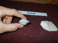 DSCN0006.webp