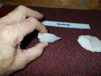 DSCN0007.webp