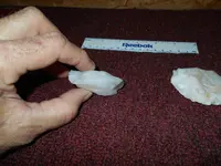 DSCN0008.webp