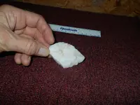 DSCN0011.webp