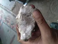 20210525_190602.webp