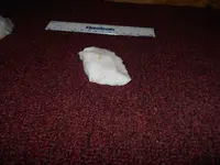 DSCN0011 (1).webp