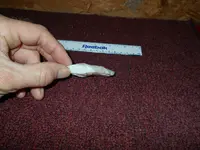 DSCN0012.webp