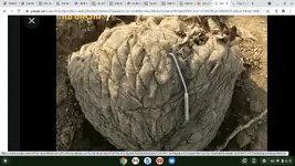 Screenshot 2021-07-09 6.15.47 PM.webp