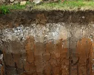 soil cross section.webp