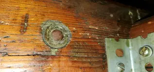 20210724_060519.webp