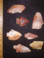 20210524_092412.webp