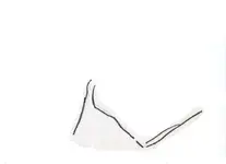 doodle 2.webp
