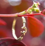 Hook Ring.webp