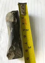 unk rock 5.webp