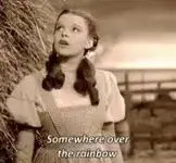 judy.webp