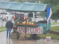 candy corn.webp