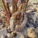 20210723_193612.webp