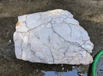 Rock.webp