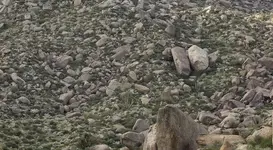boulderhill.webp