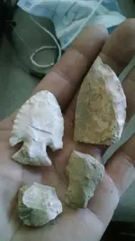 1623524743889.webp