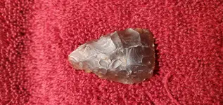 20210710_201844.webp
