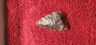20210710_201836.webp