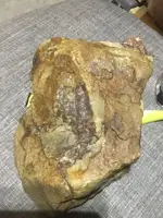 ImageUploadedByTreasureNet.com1625974665.148736.webp