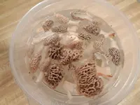 DSCN3782.webp