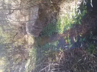 20201127_112240.webp