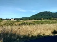 Barn exposed.webp