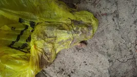 Insitu6Extracted-FlatBarrel.webp