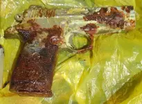 Insitu13-Extracted-NoBags.webp