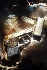 Handgun-Extracted2.webp