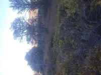 20201127_162754.webp