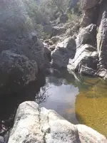 2020030595101457.webp