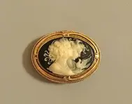 il_340x270.3016916537_8r9o.webp