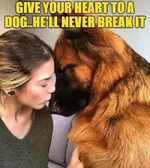 break.webp